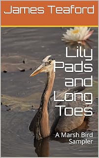 Lily Pads and Long Toes: A Marsh Bird Sampler