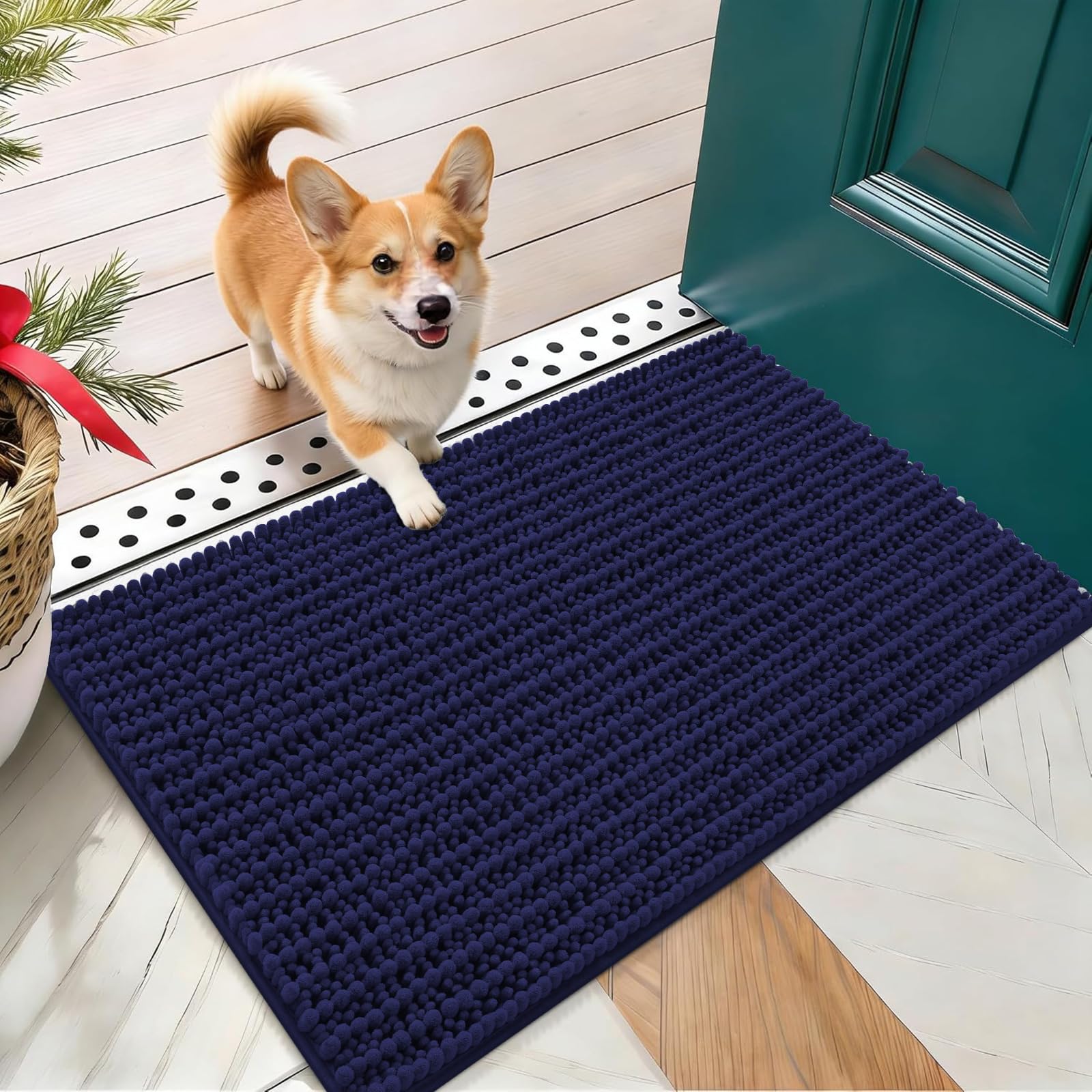 OLANLY Dog Door Mat for Muddy Paws 24x16, Ultra-Absorbent Chenille Mud Mat