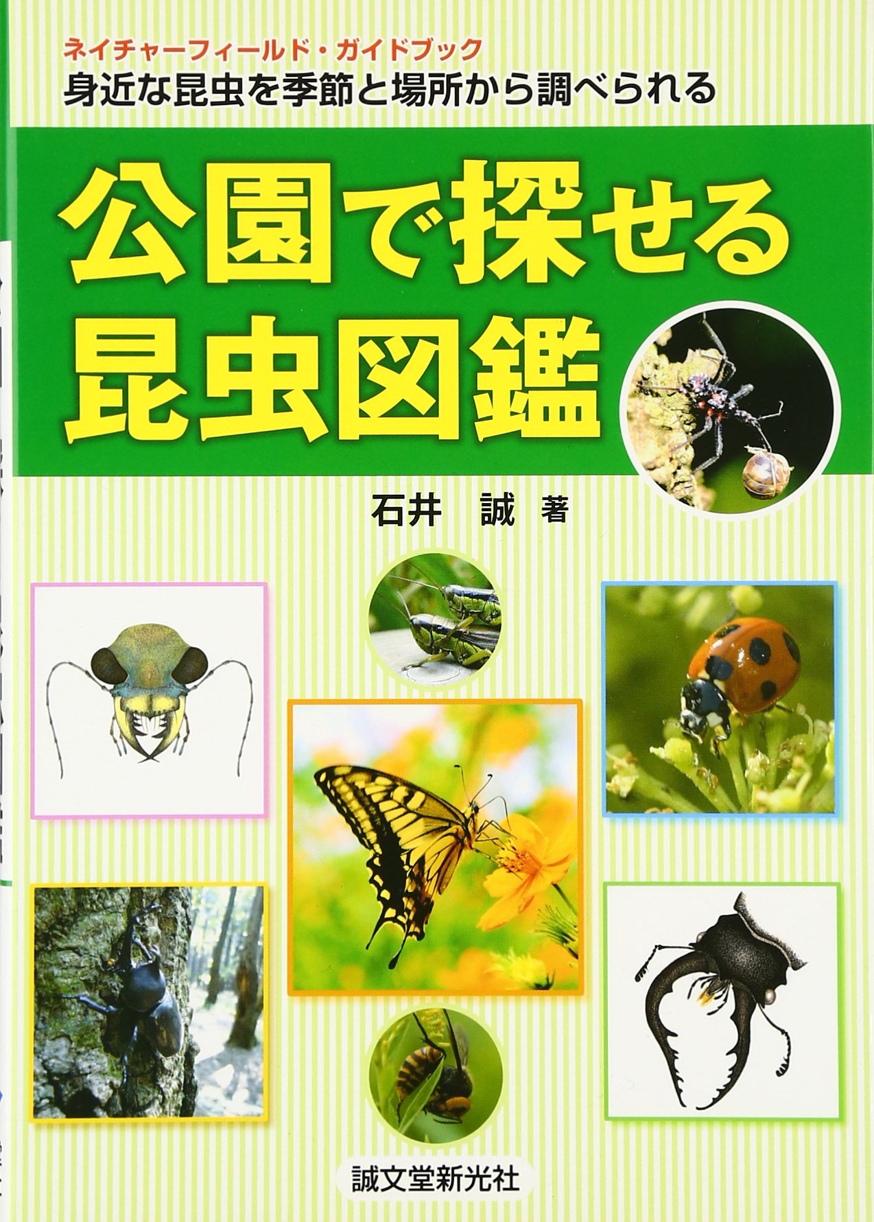 公園で探せる昆虫図鑑 身近な昆虫を季節と場所から調べられる ネイチャーフィールド ガイドブック 石井 誠 本 通販 Amazon 公園で探せる昆虫図鑑 身近な昆虫を季節と場所から調べられる ネイチャーフィールド ガイドブック 石井 誠 本 通販 Amazon