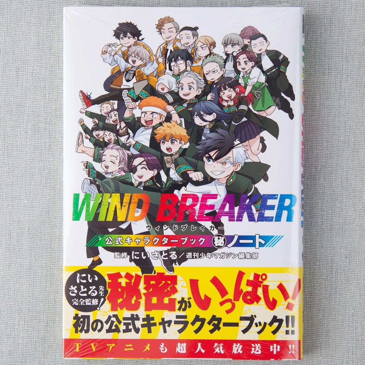 Amazon.co.jp: WIND BREAKER ウィンドブレーカー 公式キャラクター 