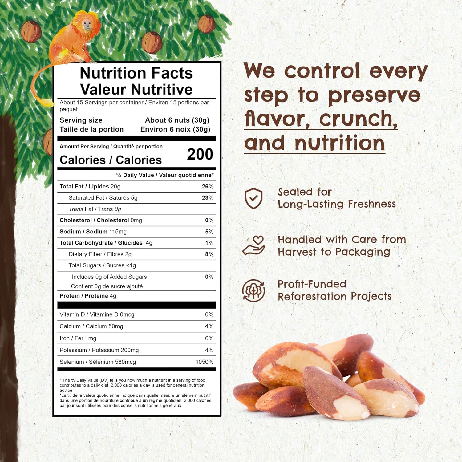 FLORESTA EM PÉ - The True Organic Premium Brazil Nuts (15oz) Roasted & Himalayan Salt | KOSHER | Non-Gmo | Certified Organic | No Oil | Fresh | Vegan | Gluten Free | Keto and Paleo Friendly | Sustainably Harvested