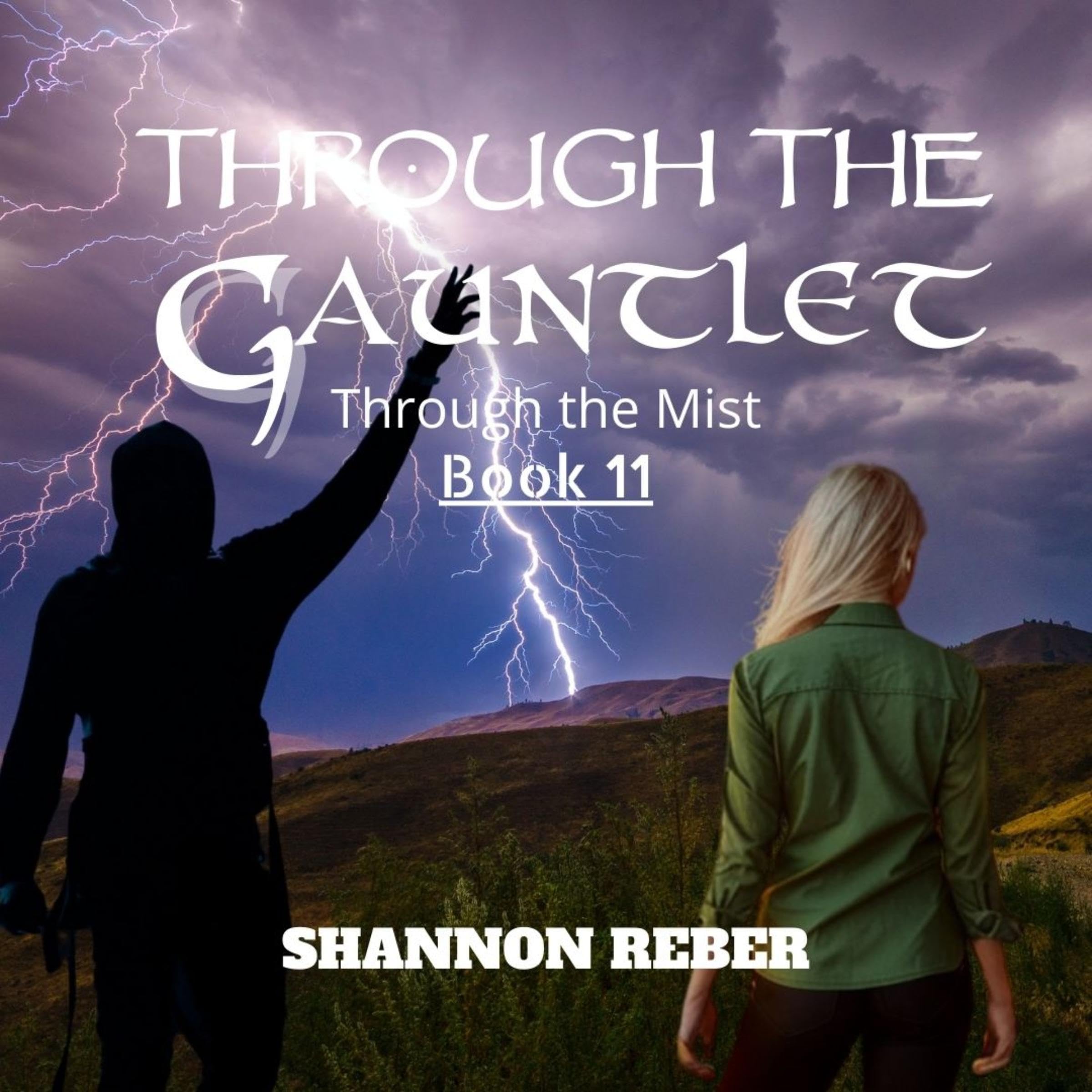 Cover art for Through the Gauntlet