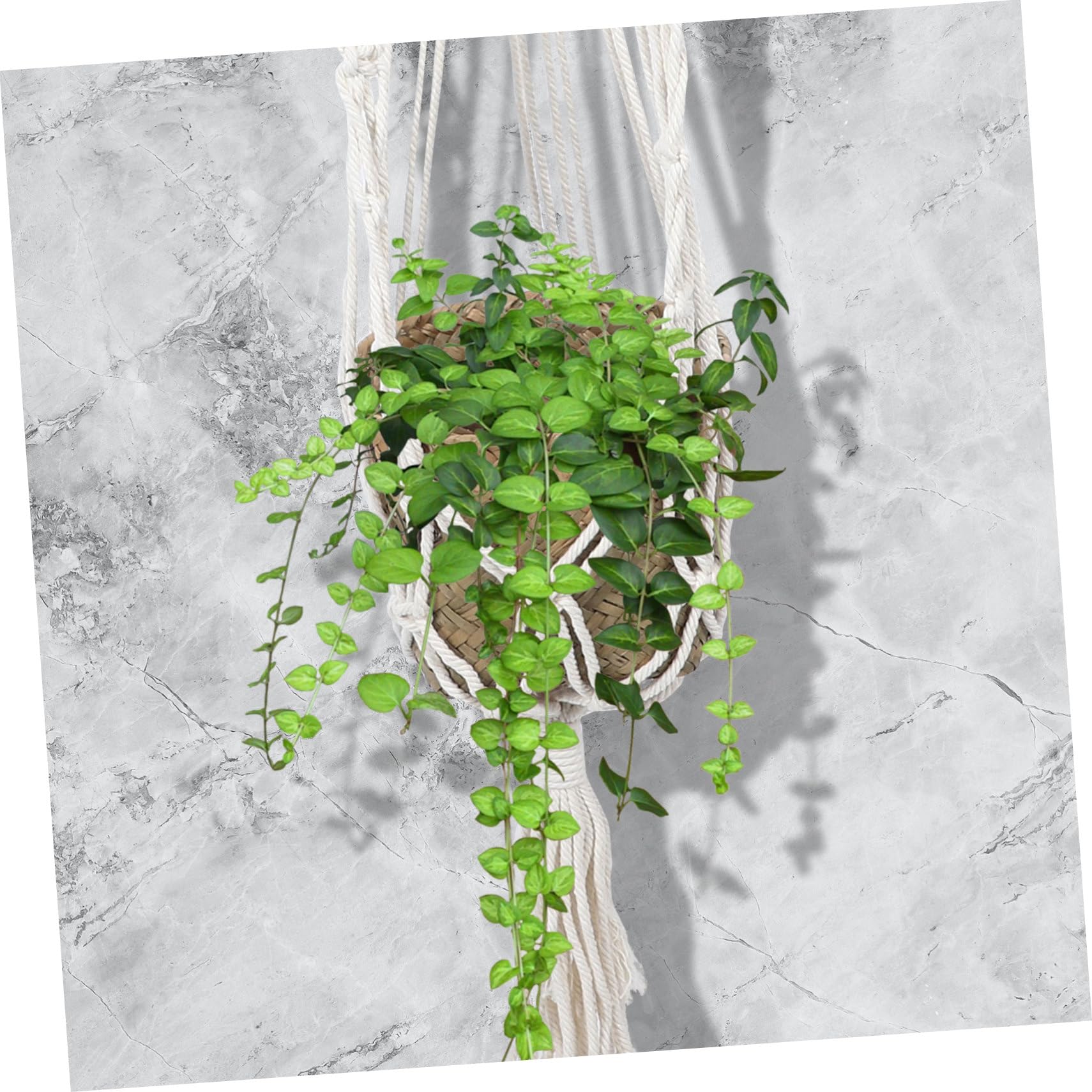 HEMOTON 3 Pièces Panier Suspendu en Corde de Coton cintres pour Plantes d'intérieur Cintre en macramé Usine Panier en Corde de Coton Fronde tissée à la Main Bambou Beige