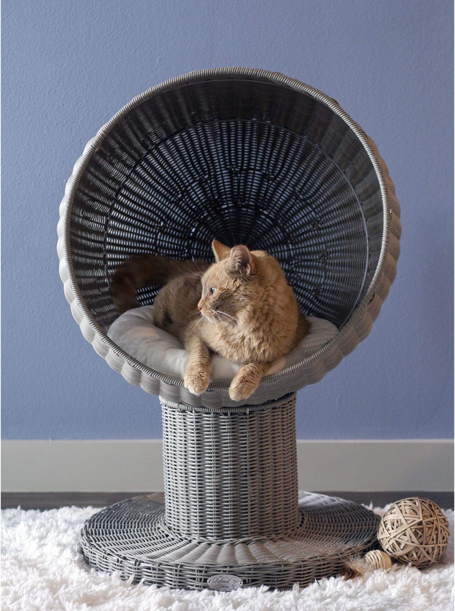 The Refined Feline Curved Shape Kitty Ball Cat Bed with Soft Washable Cushion, Scratch Proof Poly Rattan Bed for Cats and Kittens