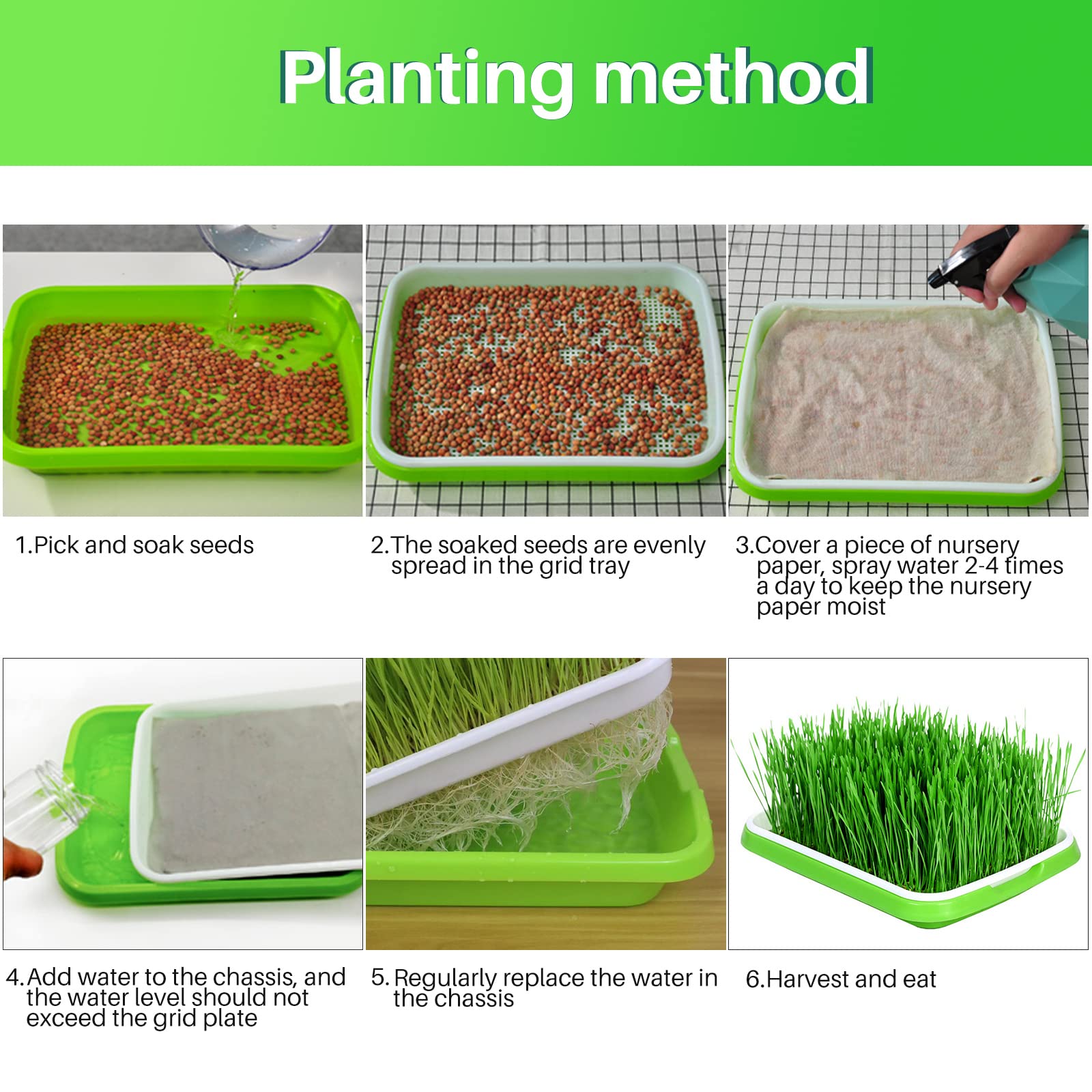 Lot De 6 Plateaux De Germination - Sans Trou - Noir - 54,5x28,5 Cm - Pour Semis Et Jardinage Intérieur/Extérieur