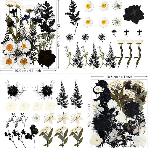 Miniatura 4 de 84 piezas de flores secas prensadas negras para moldes de resina, flores secas naturales a granel para manualidades artísticas DIY, joyería