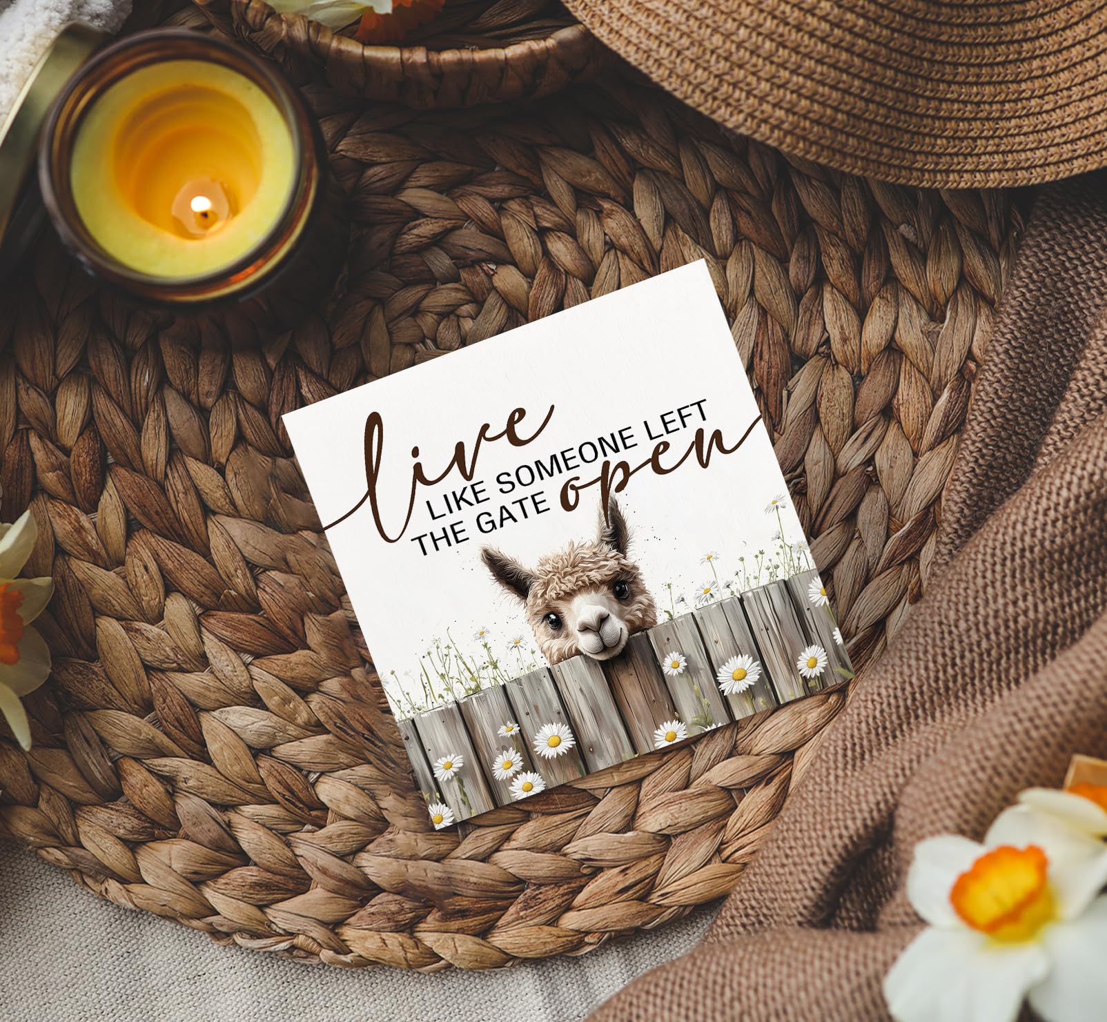 Letreros de madera de alpaca con texto en inglés "Live like Someone Left the Gate Open", decoración rústica para el hogar, regalos de alpaca para mujeres