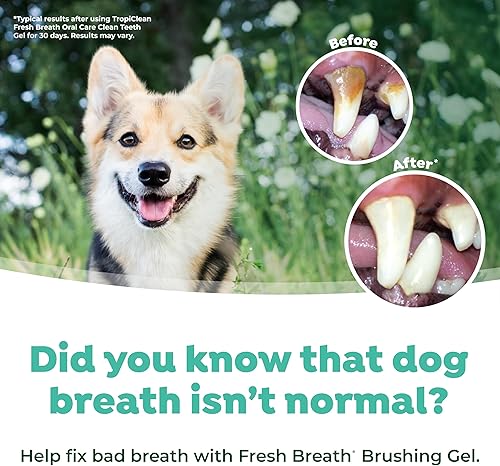 Miniatura 6 de TropiClean Fresh Breath - Kit de cuidado bucal para perros
