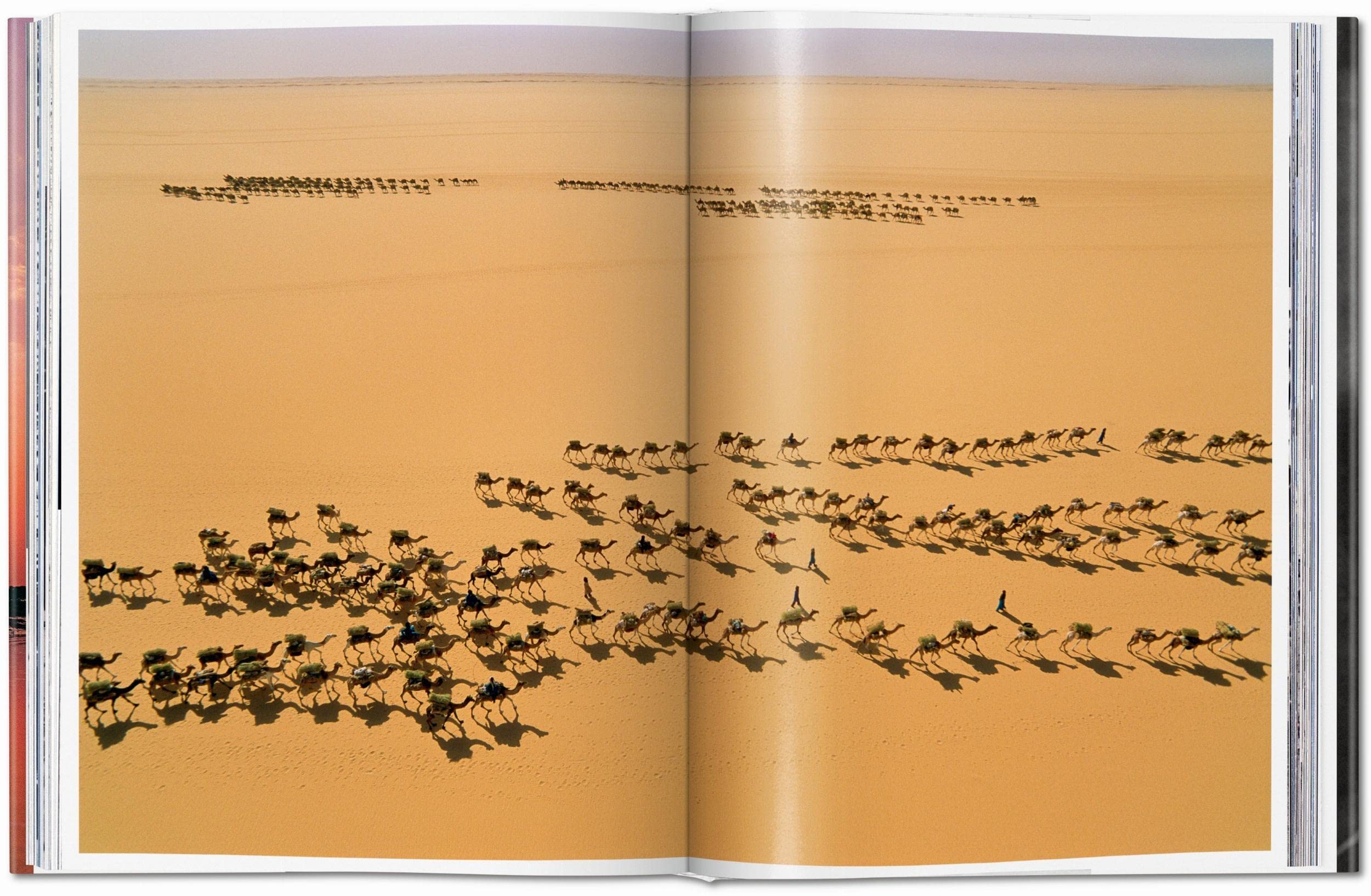 National Geographic. Le Tour du monde en 125 ans. L'Afrique