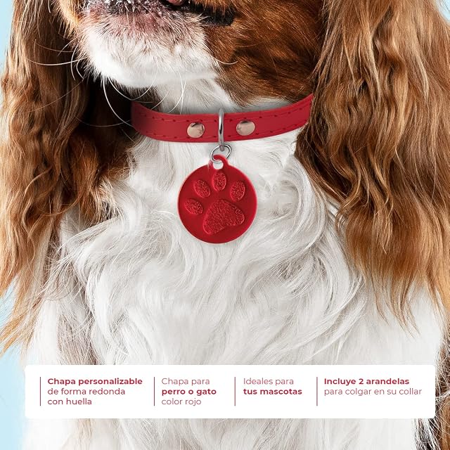 Foto 2 de 7 de Ibera Gifts - Chapa Perro Grabada en Forma Redonda con Huella, Placa Perro Personalizada para Perros y Gatos…