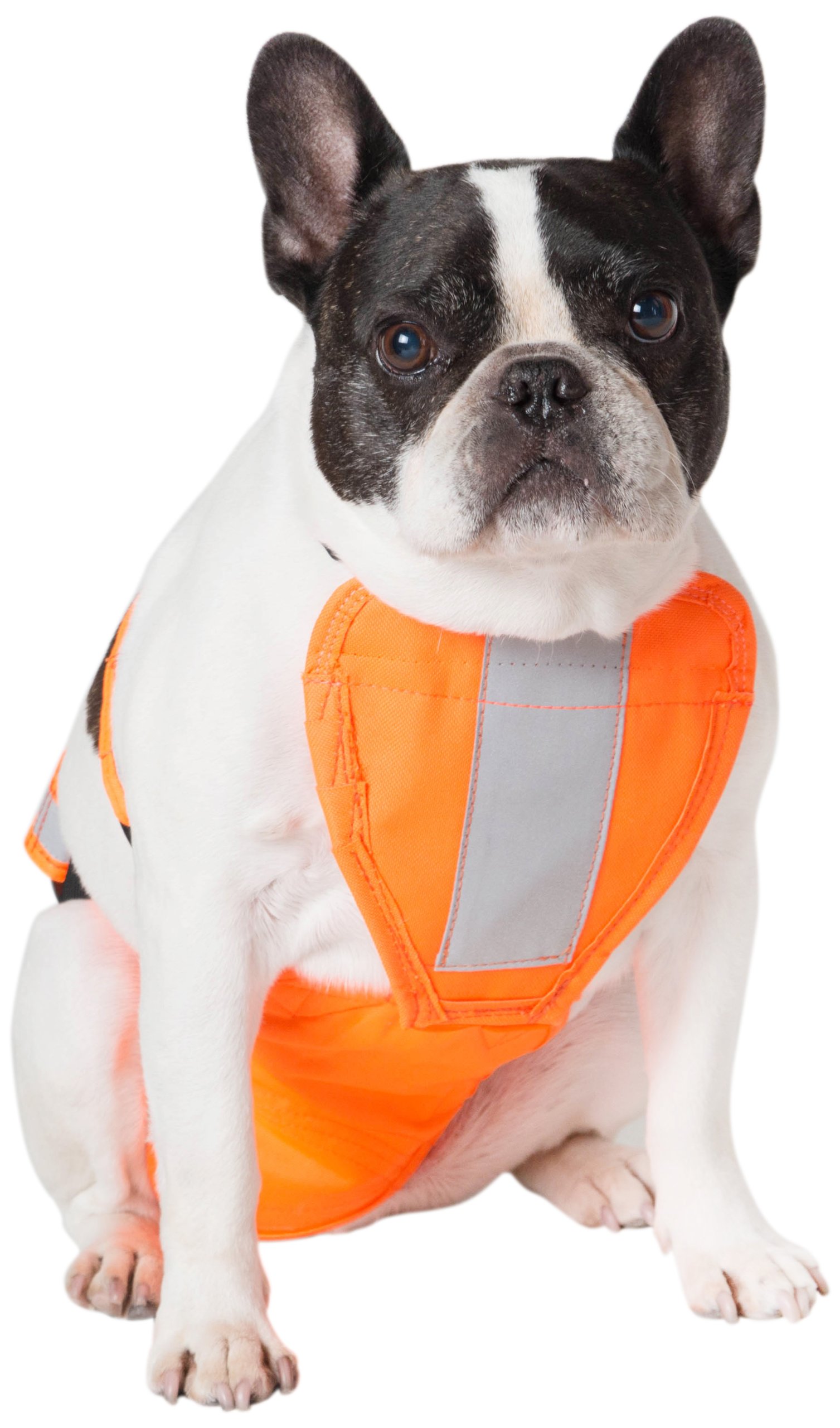 Dog Hunting Vest (UnderBelly and Chest Protection) SMALL