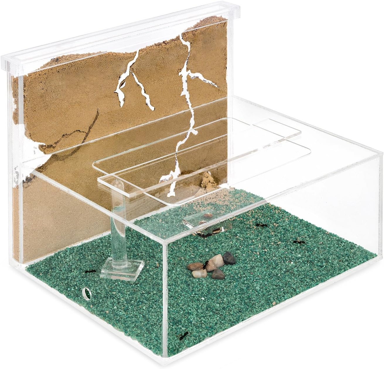 AntHouse - Natural Sand Ant Farm | Kit L (Sandwich + Forage Box)