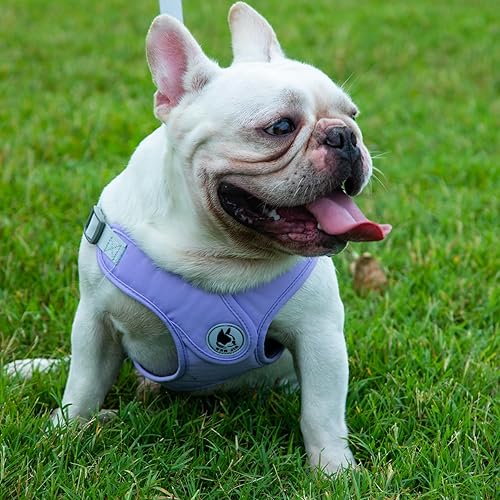 Miniatura 5 de Arnés para perro con correa, arnés sin tirones para mascota con 1 clips para correa, chaleco acolchado suave ajustable para perros pequeños y