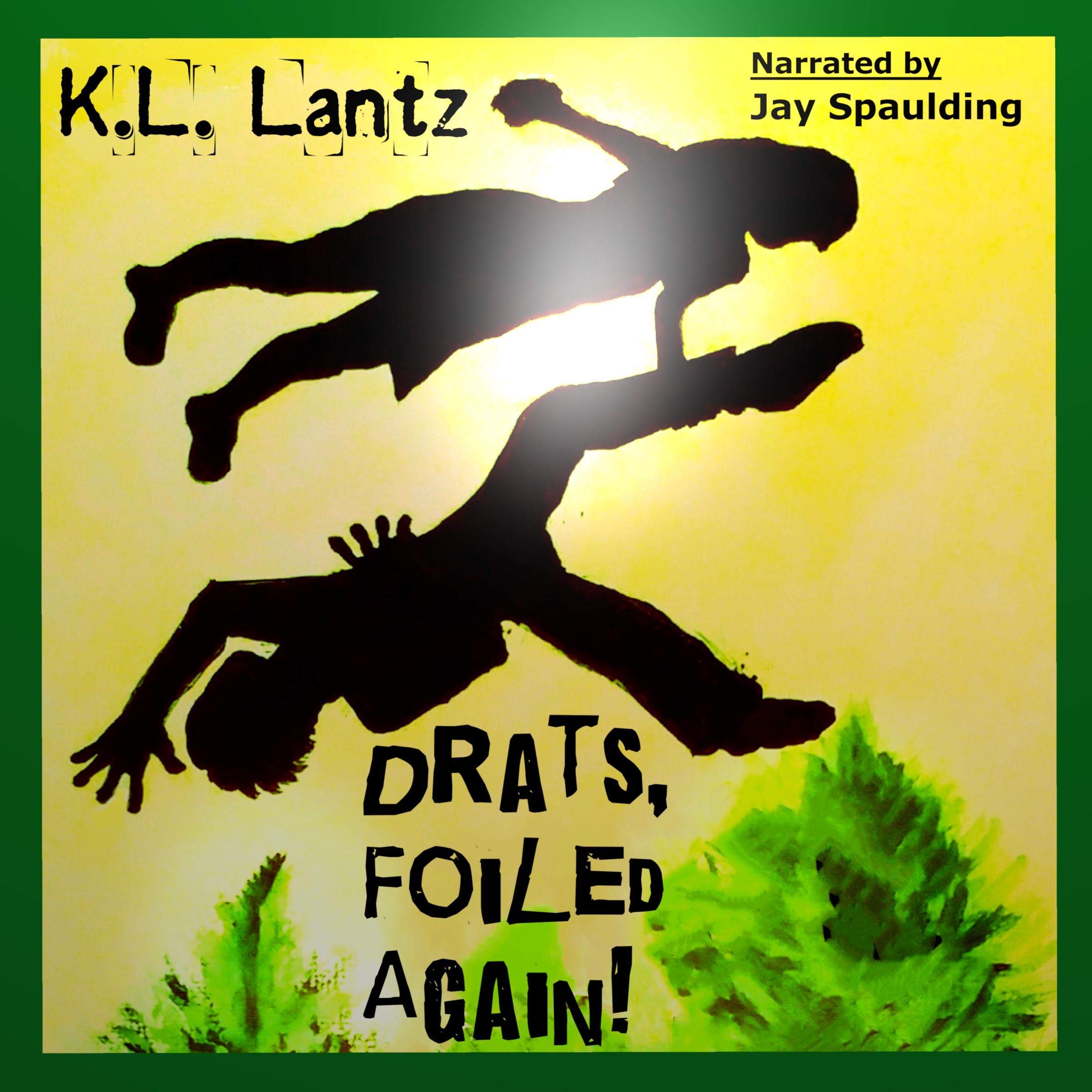 Cover art for Drats, Foiled Again!
