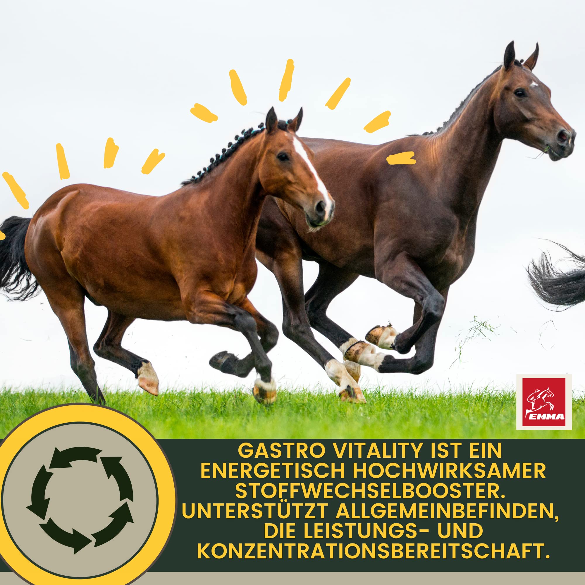 Pâte Gastro-intestinale Probiotiques Levure de bière Cheval I Vitamine E I Culture de levure Flore intestinale Gastro-intestinal - vitaminée I après colique Ecume diarrhée métabolisme Cheval 30ml