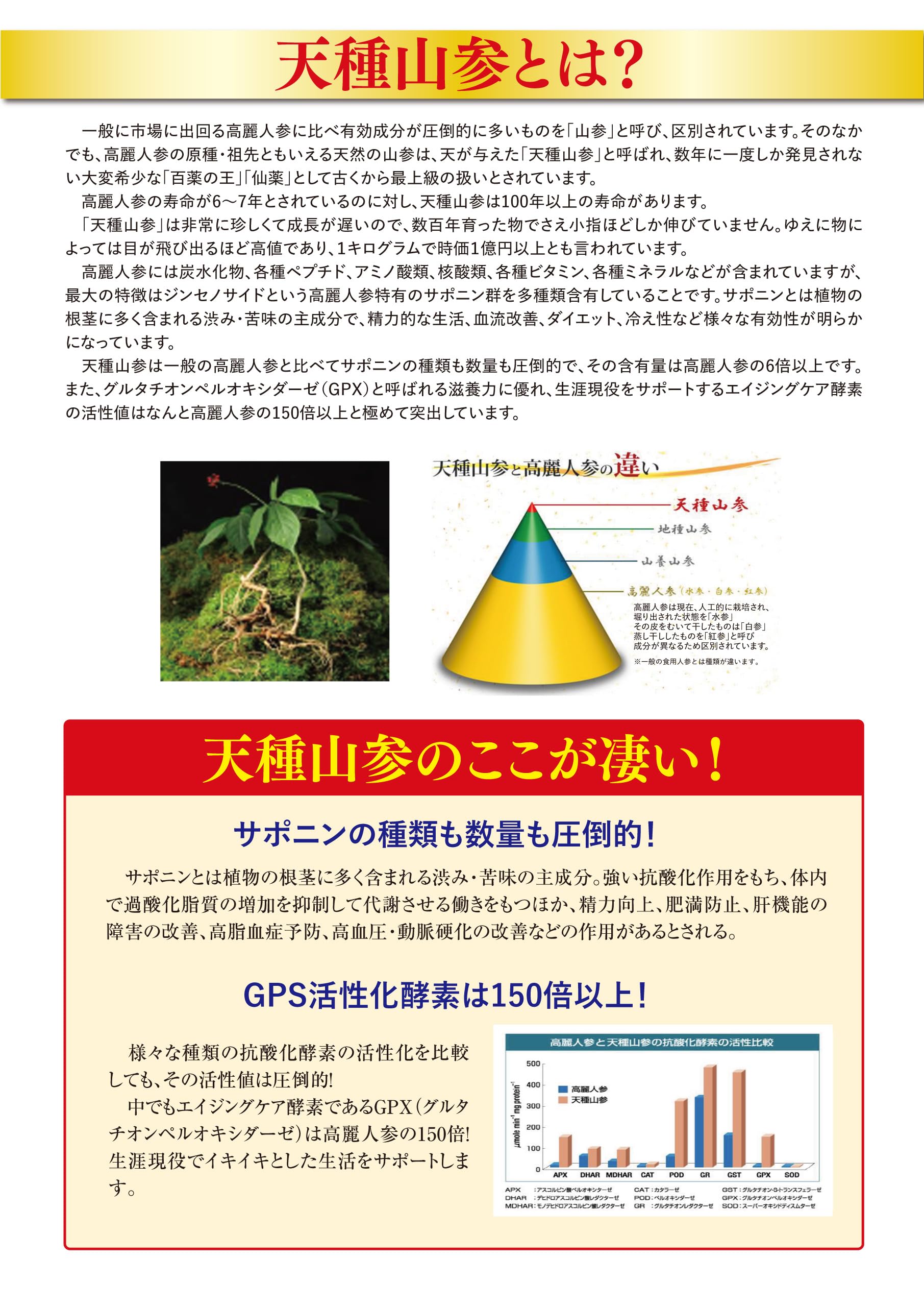 Amazon | 夜もみなぎる男の自信 高麗人参の最上位種 天種山参 男性用
