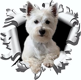 carstyling XXL Sticker Ripped Torn Bullet Hole 170 mm Motive westi