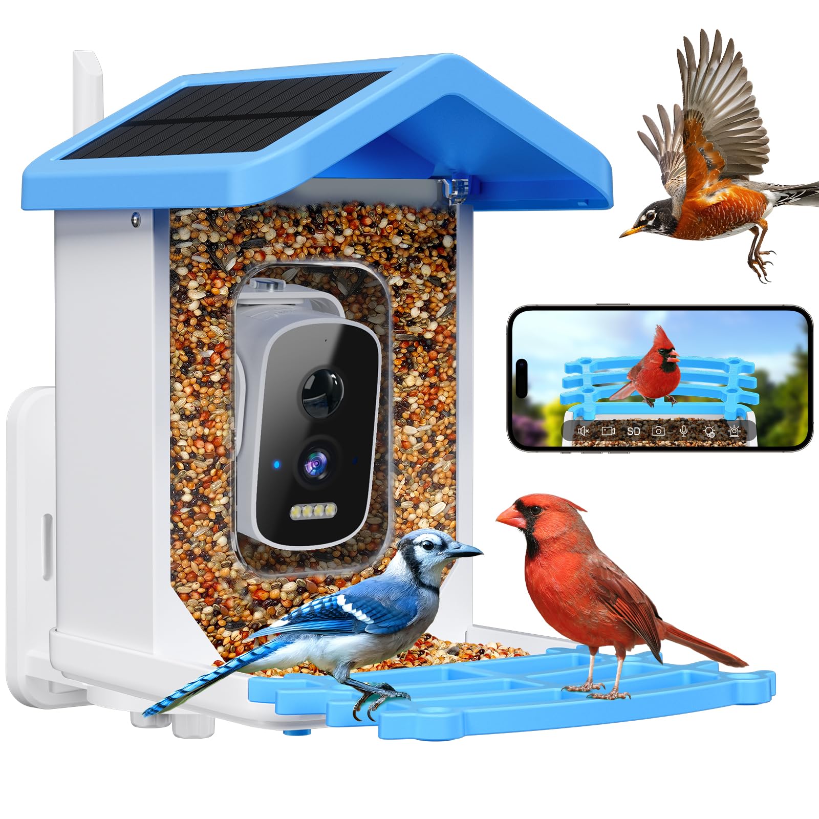 Amazon.com : Smart Bird Feeder with Camera, AI Bird Species