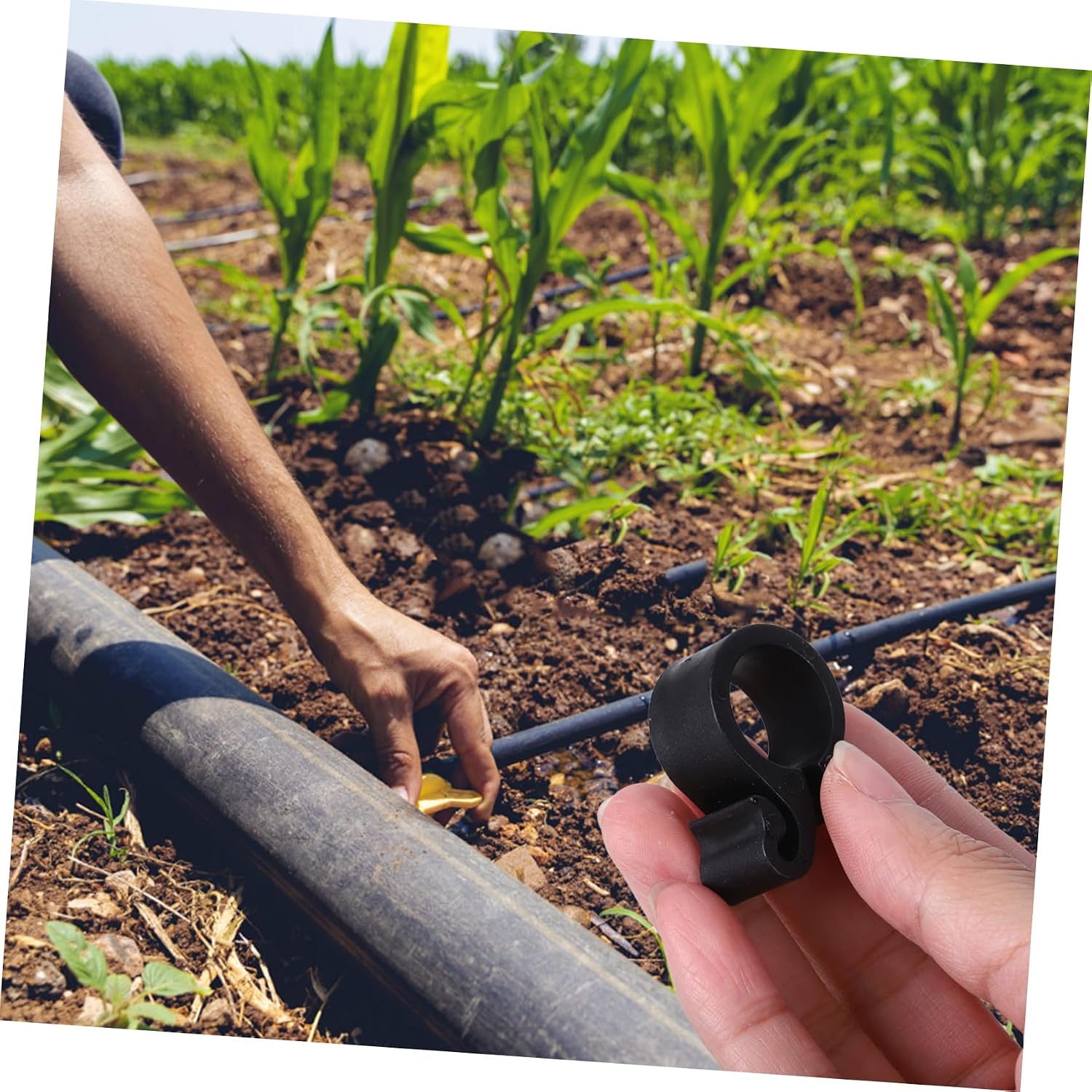 50pcs Plastic Irrigation Tube Clamps for Greenhouse Garden Hanging image 5