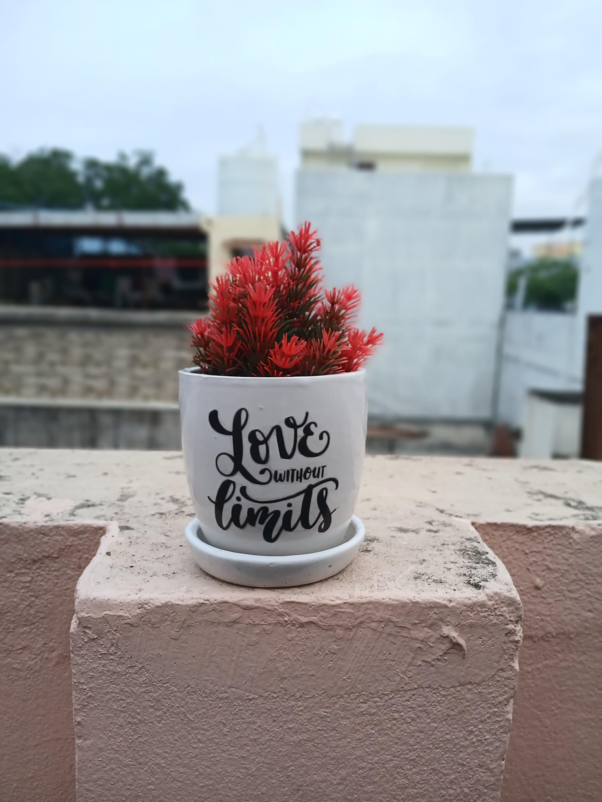 MUMU Ceramic Pot with Quotes | Love Without Limits | Pot with Tray for Home planters, Terrace & Garden.