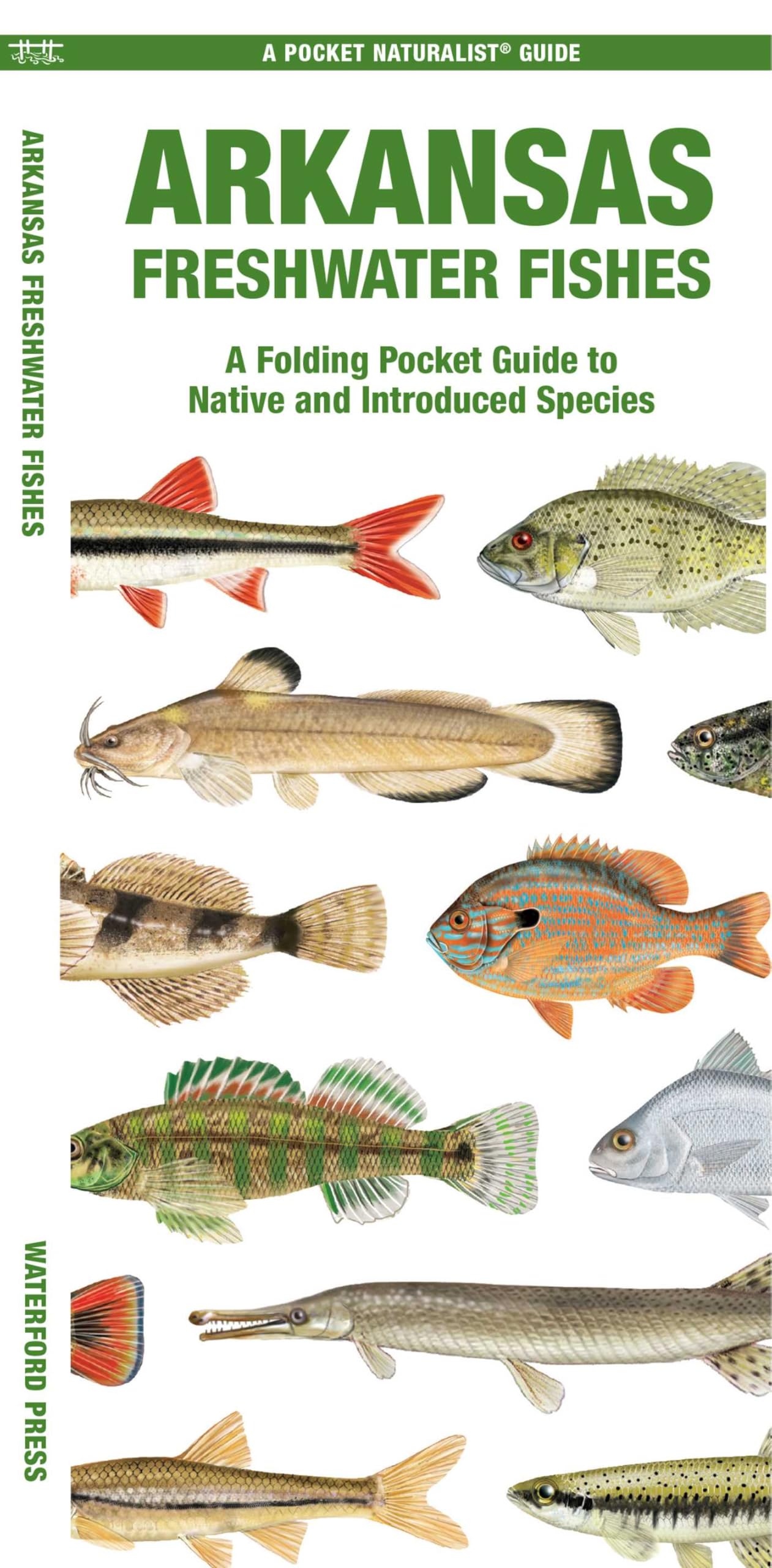 Arkansas Freshwater Fishes: A Folding Pocket Guide to Native and Introduced Species (Nature Observation North America)