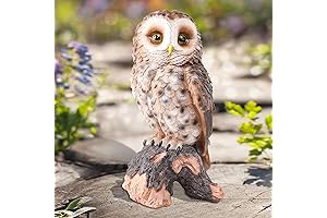 WONDER GARDEN Owl Figurines and Statues for Home Decor