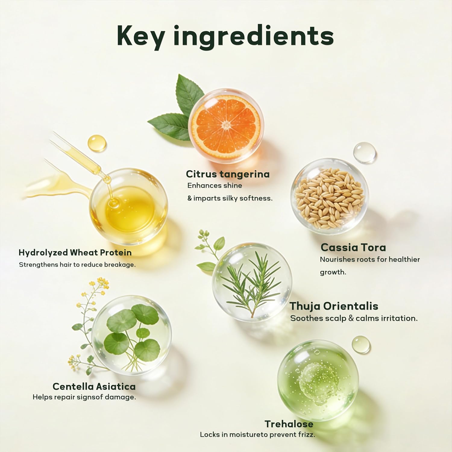 Hydrate Soft Conditioner for Dry Damaged Hair, Botanical Bonding Repair Treatment Nourishes Hair Mask for Color Treated Brittle Hair, Strengthens & Adds Shine (8.8fl oz) | Keratin & Ceramide, Lightweight & Smooth, Leafy-Fresh Scent, Vegan, Cruelty Free, Paraben Sulfate Free - Image 2