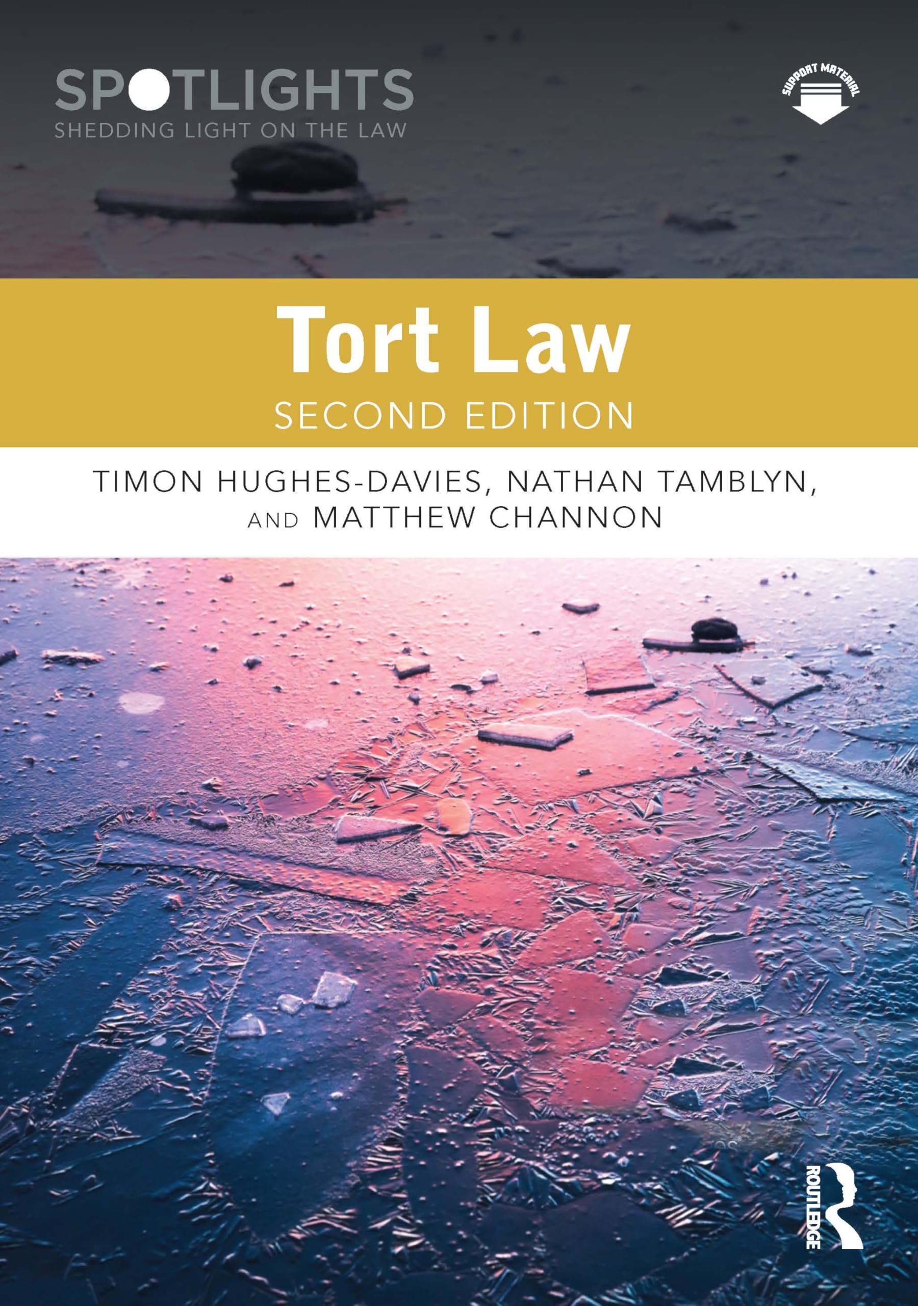 Tort Law by Matthew Channon (Paperback Book)