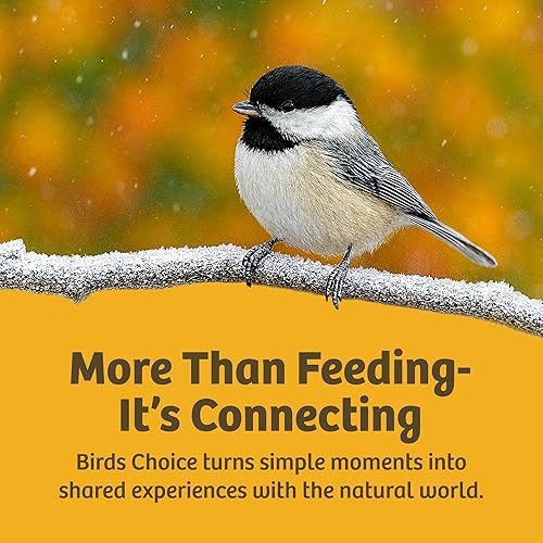 Miniatura 8 de Birds Choice DOME Domo protector, cubierta protectora para comederos colgantes de pájaros, 10 pulgadas, transparente