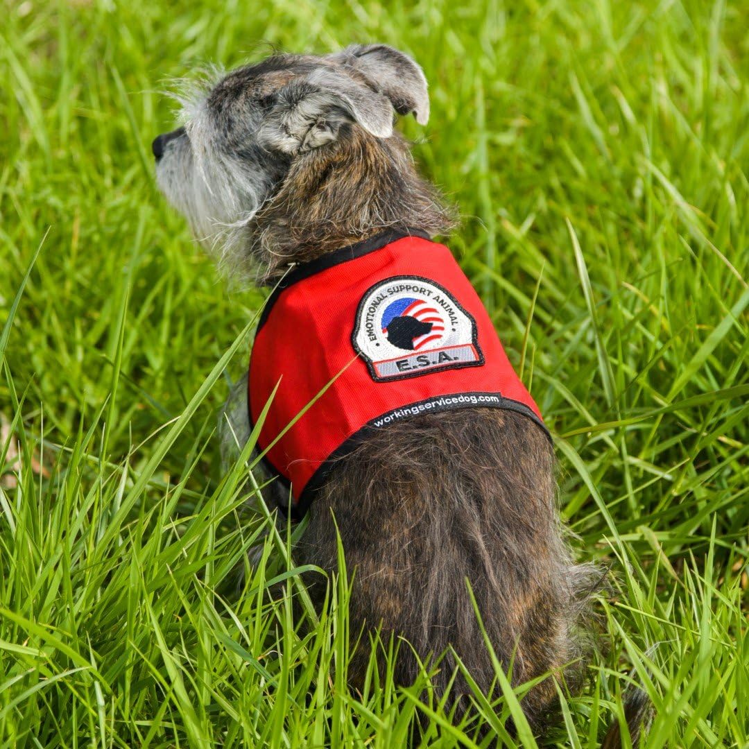 Premium ESA Dog Vest - for Smaller Emotional Support Animals (7-11 Pounds, Red) - Includes 5 Federal Law ESA Handout Cards