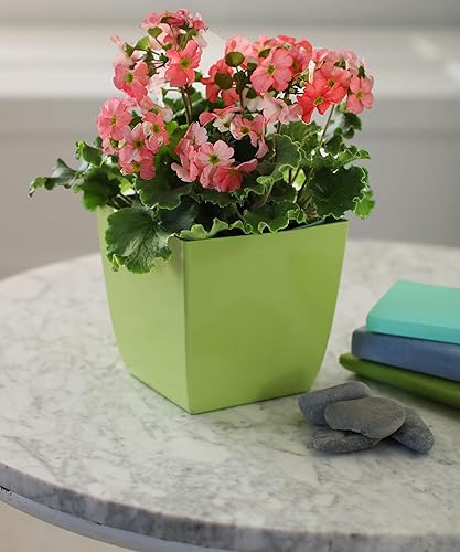 Miniatura 10 de The HC Companies Aria - Maceta cuadrada de riego automático de 8 pulgadas, maceta de plástico para plantas de interior y exterior, flores, hierbas,