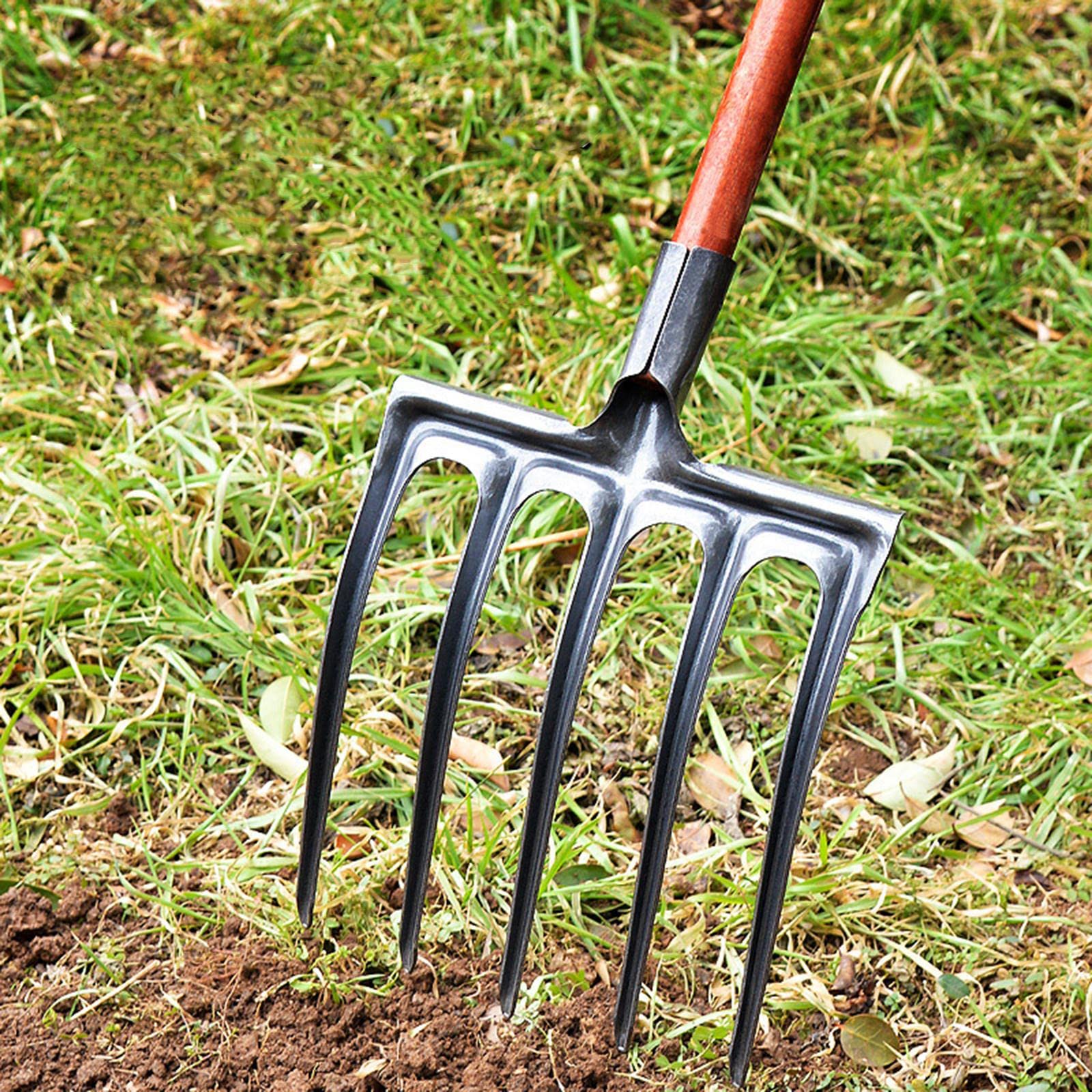 Tête de Fourche à Creuser – Un Accessoire D'outillage Robuste en Métal, Où Seule La Tête de Fourche Tourne, sans Guidon, pour Une Utilisation sous, 5 Dents