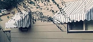 Review Image by Ryan