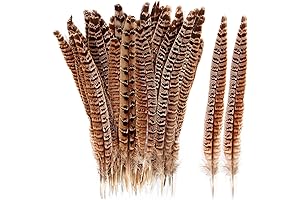 Female Ringneck Pheasant Tails for Crafts, Decorations, and Performance