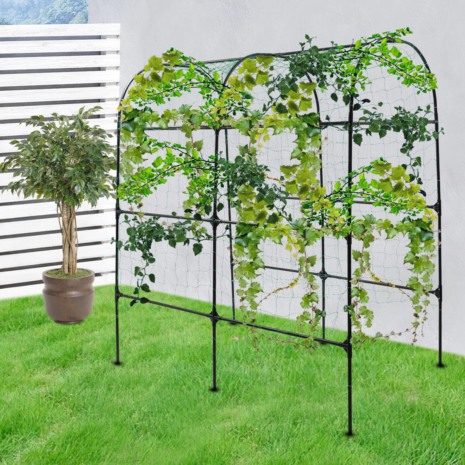 Treillis pour plantes grimpantes, 115 x 183 x 230 cm, grille de concombre de jardin pour plantes grimpantes, pois, fruits, vignes, treillis d'extérieur