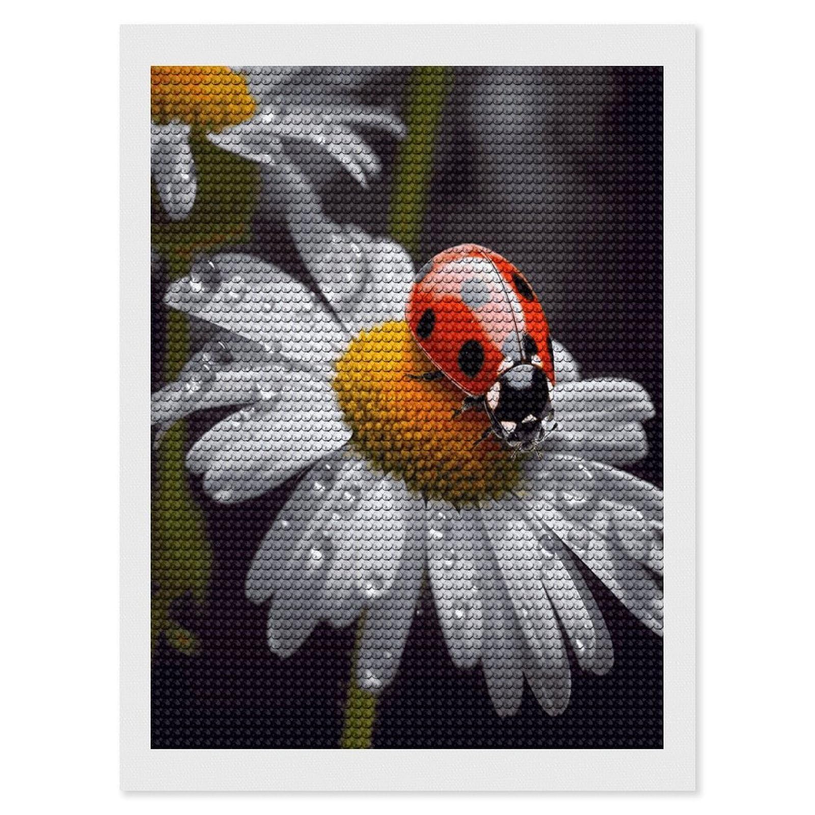 VstaDank Ladybug on Daisy Flower Diamond Painting Kits Exquisite DIY Full Round Drill Diamond Dots Painting for Adults Beginner Diamond Photo Paint with Diamond Picture Art Wall Decor 12"x16"
