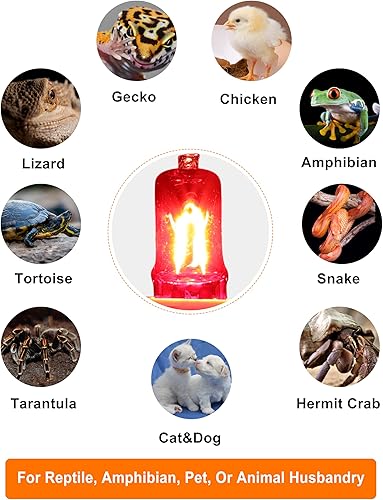 Miniatura 7 de Bombilla G9 de 50 W, 120 V, 2 pines, paquete de 3 bombillas de repuesto regulables, color rojo cálido