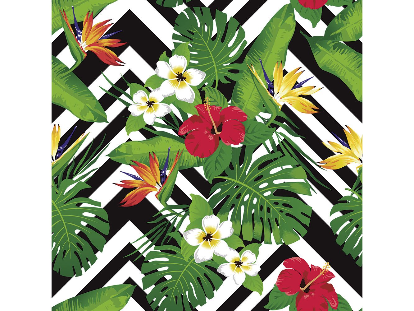 Oedim Papel Pintado Pared Estampado de Hojas y Flores Tropicales | Fotomural para Paredes | Mural | Papel Pintado | Varias Medidas 200 x 150 cm |
