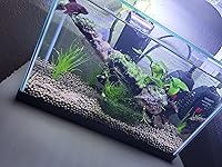 Review Image by Ashley Ashley