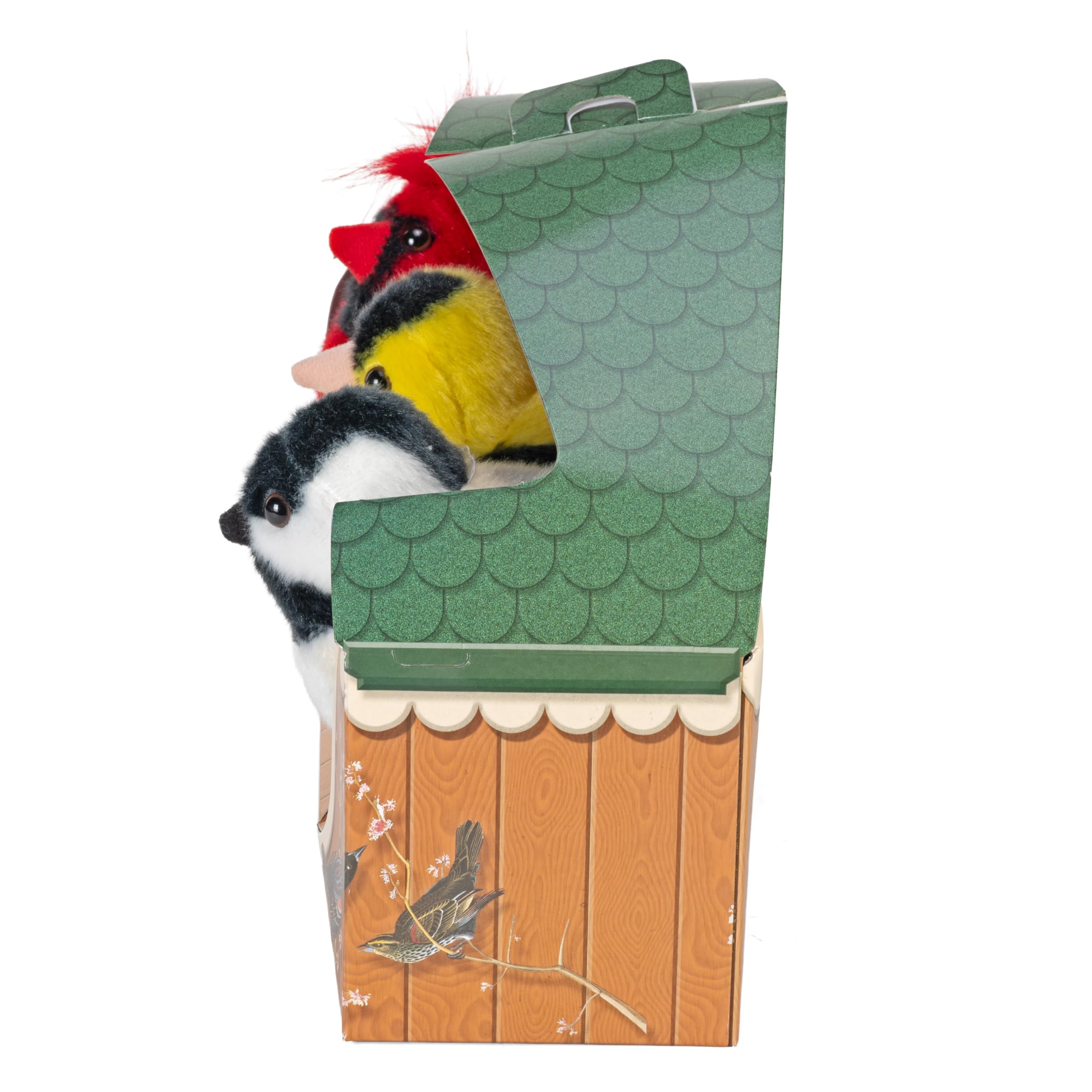 Amazon.com: Wild Republic Audubon Birds Collection with Authentic