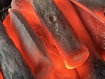 81v4GT9etlL._AC_UF350,