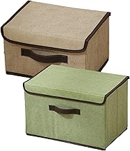 Storage Box with Lid, Storage Box with Handles, Set of 2, 27 x 20 x 16 cm, Cassette Organizer with Lid, Storage Boxes for Closet, Clothes Organization (Mixed Color)