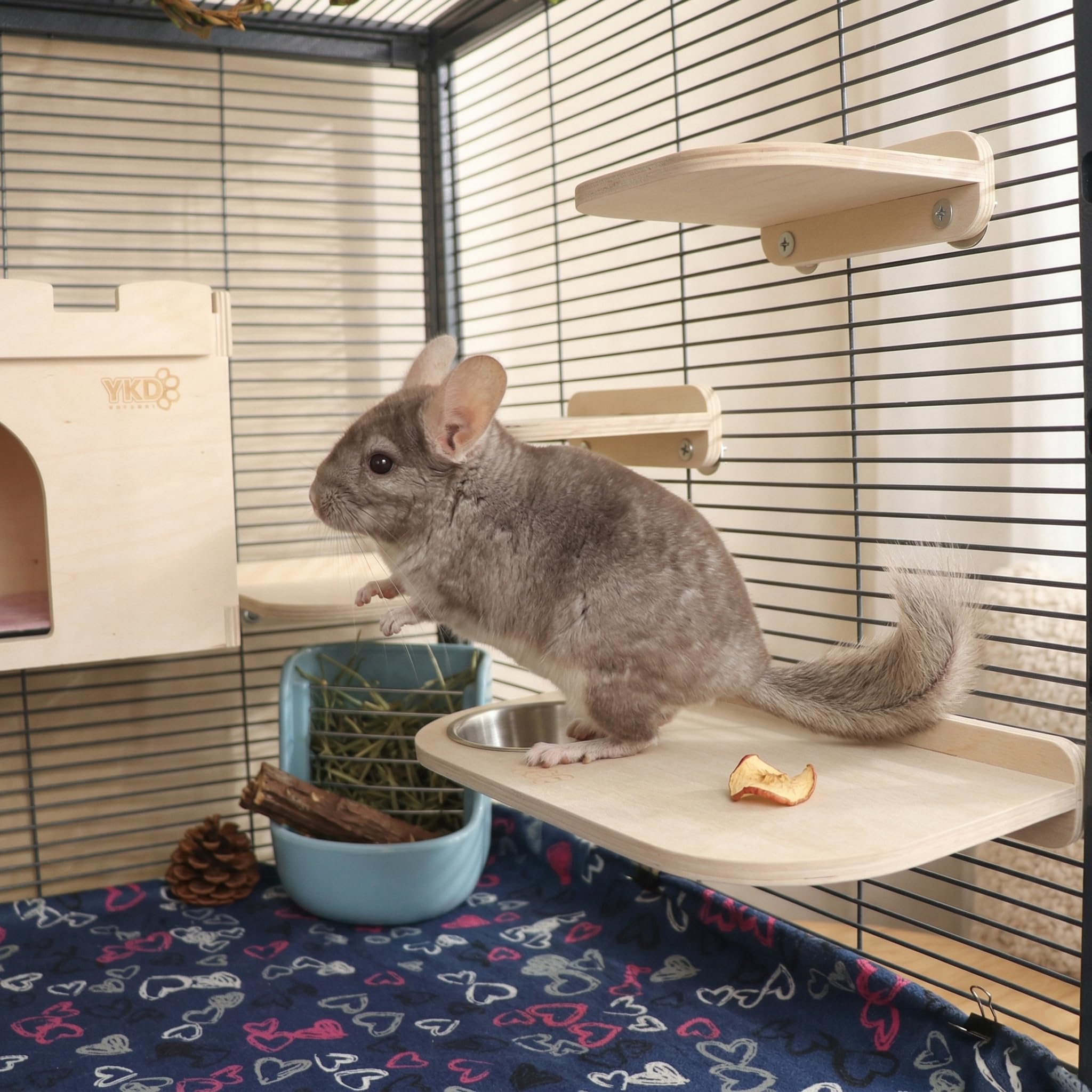 Amazon.com : Chinchilla Wooden Platform Set, Chinchilla Cage
