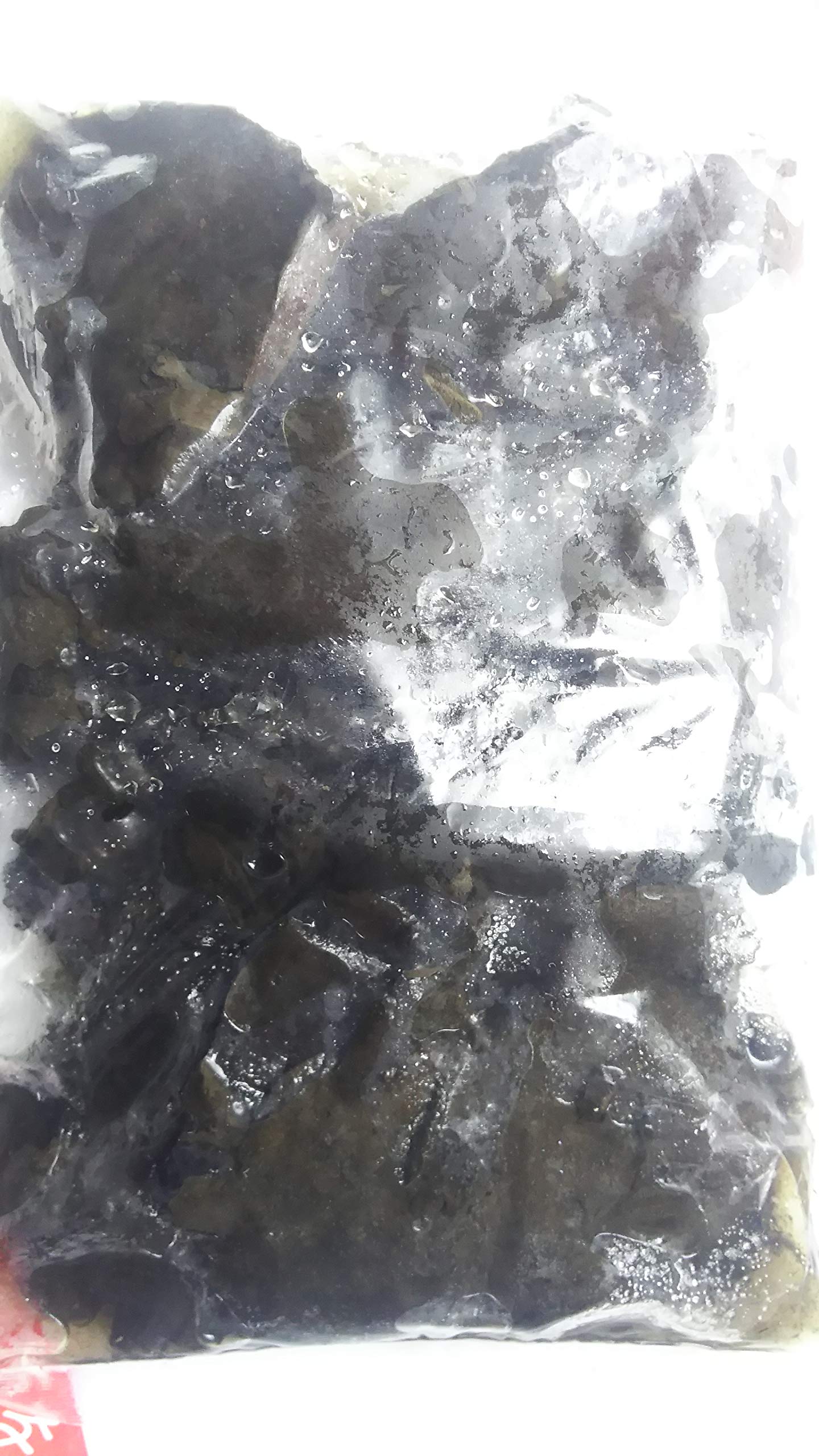 絶版】君にもできるスーパーエリートの受験術/超合格術 有賀ゆう 有賀悠