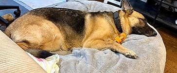 Review Image by Joshua Joshua