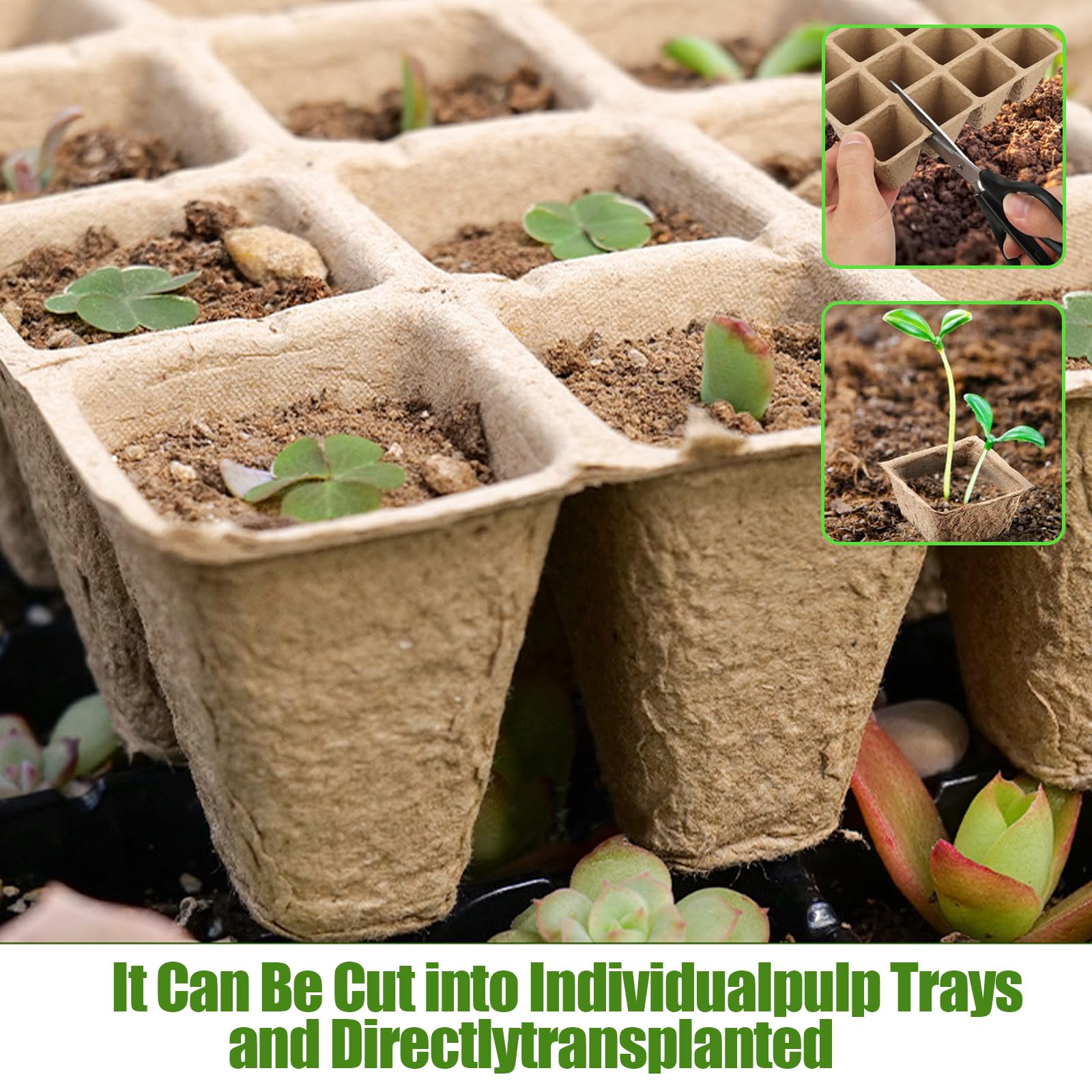 Macetas de Cultivo biodegradables cuadradas,24 Piezas Macetas Biodegradables para Plántulas y Trasplantes con 288 pcs Etiquetas de Plantas de Plástico para jardín, invernaderos o huertos