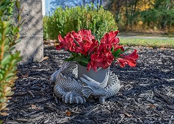 Amazon.co.jp: NAT & Jules 小さな眠る龍 コンクリート仕上げ 10インチ