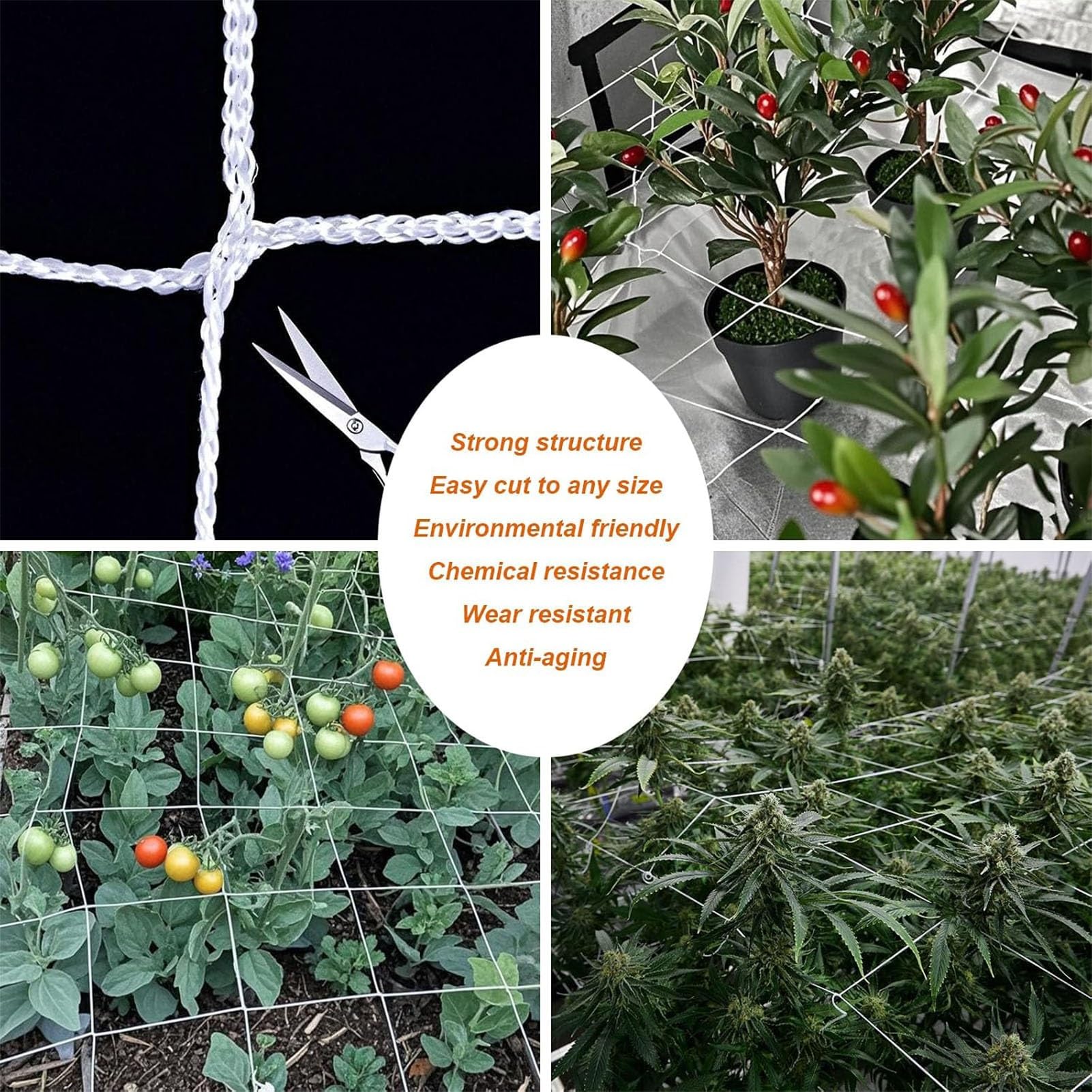 Filet à Ramer pour Plantes Grimpantes​, Filet de Soutien pour Vignes
