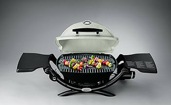 Weber 51200001 Q1200 Liquid Propane Grill, Purple : Amazon