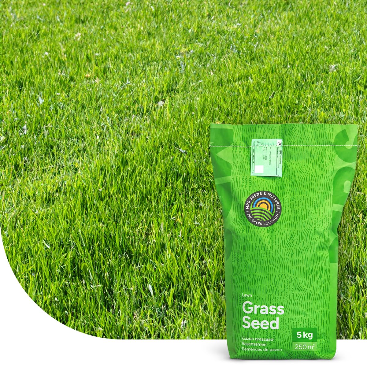Turbo Green Rasensamen | 15 kg - 750m2 | Nachsaat | Schnellkeimende Grassamen | Premium Qualität Sport- und Spielrasen | Rasen nähen und nachsäen | Repariert kahle Stellen im Rasen | MRS Seeds